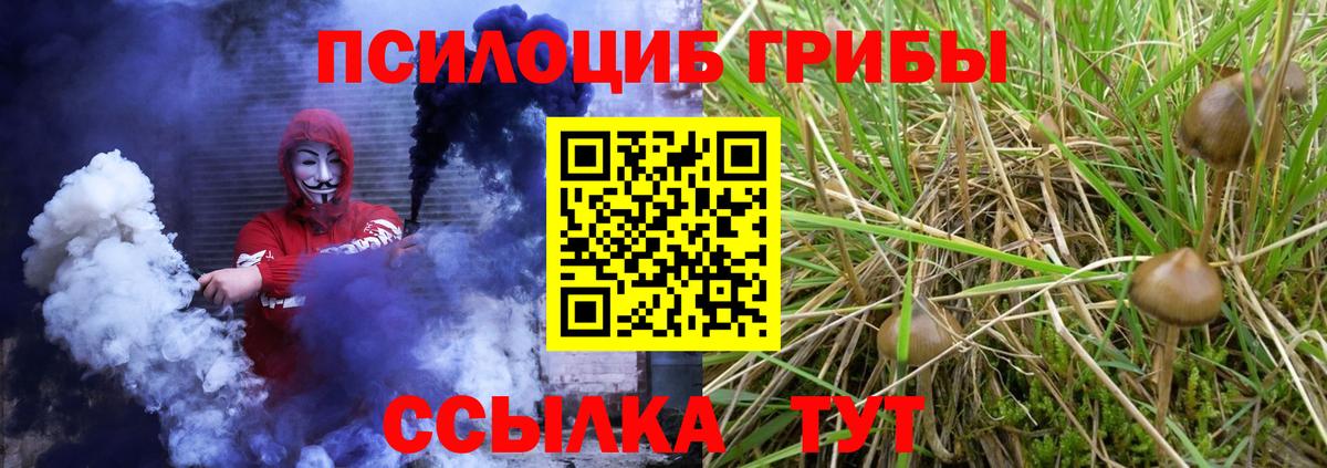 Псилоцибиновые грибы GOLDEN TEACHER Кувандык