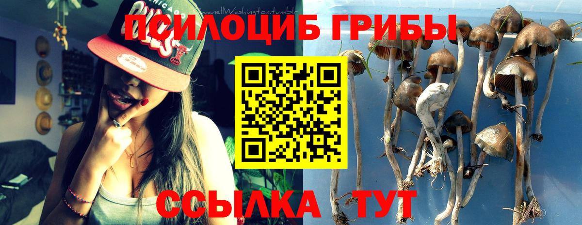 Галлюциногенные грибы MAGIC MUSHROOMS  Галлюциногенные грибы GOLDEN TEACHER  Кувандык  Вход с VPN 
